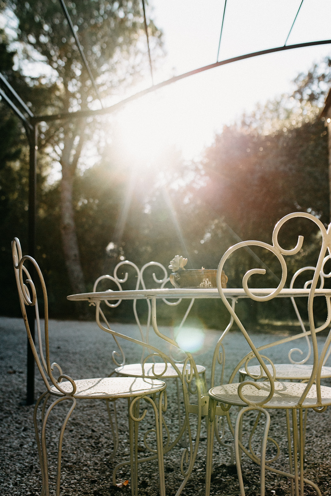 Jardin méditerranéen entouré de nature lors d’une retraite de yoga en Provence.